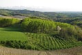 Vineyards and fields of Italy`s Piemonte wine region.