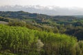 Vineyards and fields of Italy`s Piemonte wine region.