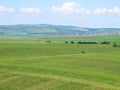 Vineyards and fields in South Moravia Royalty Free Stock Photo