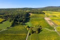 Vineyards and forests in autumn Royalty Free Stock Photo