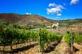 Vineyards in front of Abbey of San `Antimo, Tuscany,