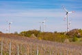 Many wind turbines disfigure the landscape with vines in rural Rhineland, Germany Royalty Free Stock Photo