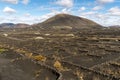 Vineyards in the Geria in Lanzarote Royalty Free Stock Photo