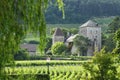 Vineyards in Gevrey Chambertin