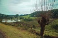 Vineyards going up the hill with woods Royalty Free Stock Photo