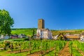 Vineyards green field with grapevine wooden poles and stone tower building in Rudesheim am Rhein Royalty Free Stock Photo