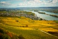 Vineyards green fields landscape Royalty Free Stock Photo