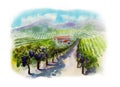 Vineyards Hand-painted watercolor landscape