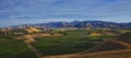 Vineyards HDR