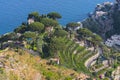 Vineyards among the hills along the Amalfi Coast, at Ravello, Italy Royalty Free Stock Photo