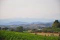 Vineyards and hills  Tuscany Royalty Free Stock Photo