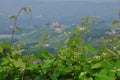 Vineyards and hills of the Langhe region. Piemonte, Italy Royalty Free Stock Photo