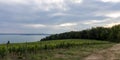 Vineyards in the hills of Meersburg. Lake Constance Royalty Free Stock Photo