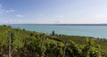 Vineyards in the hills of Meersburg. Lake Constance Royalty Free Stock Photo