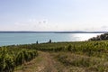 Vineyards in the hills of Meersburg. Lake Constance Royalty Free Stock Photo