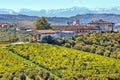 Vineyards on the hills in Piedmont, Italy.