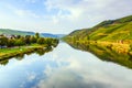 Vineyards at the hills of the romantic river Moselle edge in su