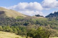 Vineyards on the hills of Sonoma County, California Royalty Free Stock Photo