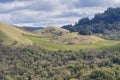 Vineyards on the hills of Sonoma County, California Royalty Free Stock Photo