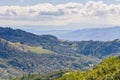 Vineyards on the hills of Sonoma County, Sugarloaf Ridge State Park, California Royalty Free Stock Photo