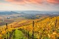 Vineyards between Kappelberg and Rotenberg in Stuttgart - Beautiful landscape scenery in autumn - Aerial view over Neckar Valley, Royalty Free Stock Photo