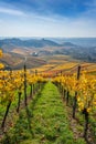 Vineyards between Kappelberg and Rotenberg in Stuttgart - Beautiful landscape scenery in autumn - Aerial view over Neckar Valley,