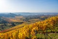 Vineyards between Kappelberg and Rotenberg in Stuttgart - Beautiful landscape scenery in autumn - Aerial view over Neckar Valley, Royalty Free Stock Photo