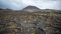 Vineyards in La Geria, Lanzarote, Canary Islands, Spain Royalty Free Stock Photo