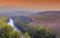 Vineyards in La Rioja, Spain. Royalty Free Stock Photo