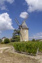 Vineyards with Lamarque windmill, Haut-Medoc, Bordeaux, Aquitaine, France Royalty Free Stock Photo