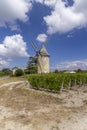 Vineyards with Lamarque windmill, Haut-Medoc, Bordeaux, Aquitaine, France Royalty Free Stock Photo