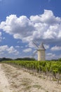 Vineyards with Lamarque windmill, Haut-Medoc, Bordeaux, Aquitaine, France Royalty Free Stock Photo