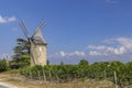 Vineyards with Lamarque windmill, Haut-Medoc, Bordeaux, Aquitaine, France Royalty Free Stock Photo