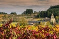 Vineyards landscape in the wine Bierzo region of Spain.