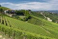 Vineyards in the Langhe near Barbaresco