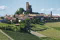 Vineyards of Langhe, Piedmont, Italy near Alba at May. Serralunga Royalty Free Stock Photo