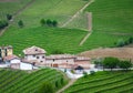 Vineyards of Langhe, Piedmont, UNESCO site Royalty Free Stock Photo