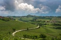 Vineyards of Langhe, Piedmont, UNESCO site Royalty Free Stock Photo