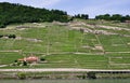 Vineyards of Lavaux, Geneva lake, Switzerland