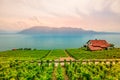 Vineyards of Lavaux Royalty Free Stock Photo