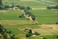 The vineyards of Le Castellet Royalty Free Stock Photo