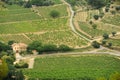 The vineyards of Le Castellet Royalty Free Stock Photo