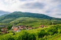 Vineyards in Lower Austria Royalty Free Stock Photo