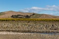 Vineyards in Marlborough region in New Zealand Royalty Free Stock Photo