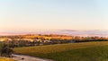 Vineyards in McLaren Vale at sunset Royalty Free Stock Photo