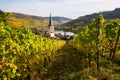 Vineyards at Merl, Germany, in autumn