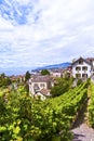 Vineyards in Montreux Town Royalty Free Stock Photo