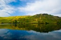 Vineyards on the mosel Royalty Free Stock Photo