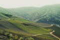 Vineyards of the Mosel valley