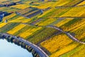 Vineyards in the Moselle Valley in bright autumn colors and sunlight Royalty Free Stock Photo